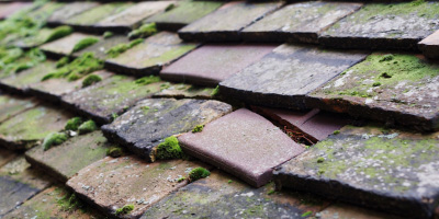 Wyesham roof repair costs